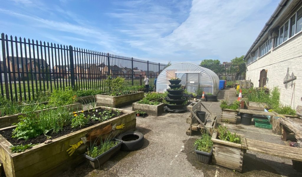 Raised beds and a polytunnel, on an old tarmac courtyard